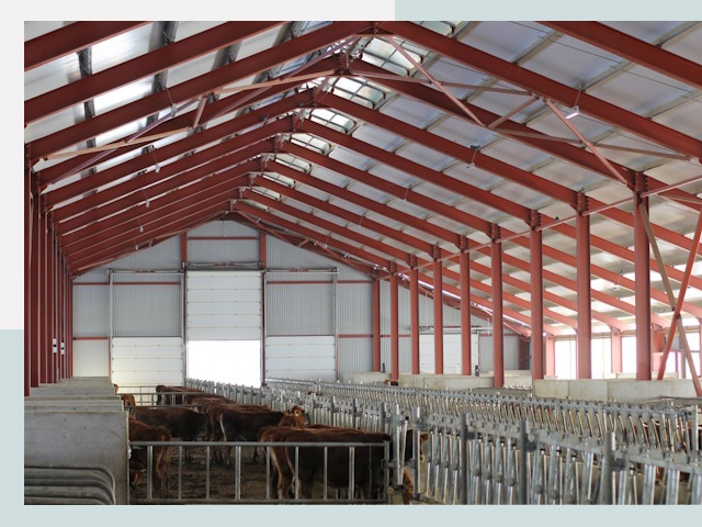 Строительство коровников в Вязьме