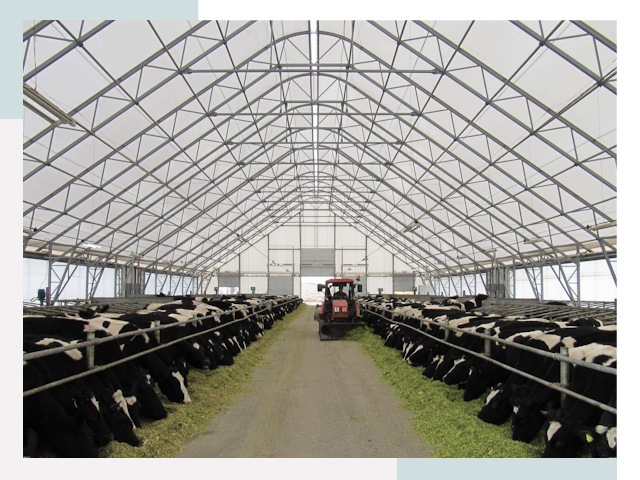 Тентовые коровники в Вязьме от 617 руб. - Надежно и доступно